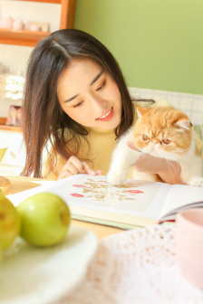 风间由美电影在线观看